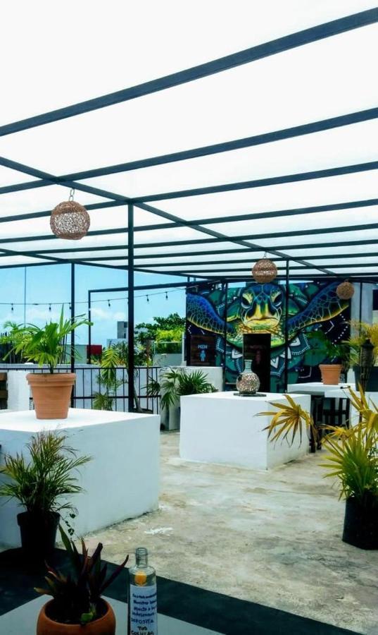 La izsla playa del carmen Playa del Carmen Exterior foto